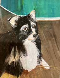 Riley the Adventure Dog