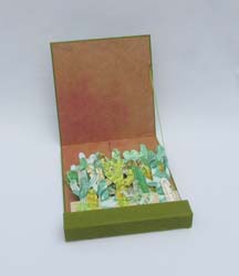 Salute to the Saguaro