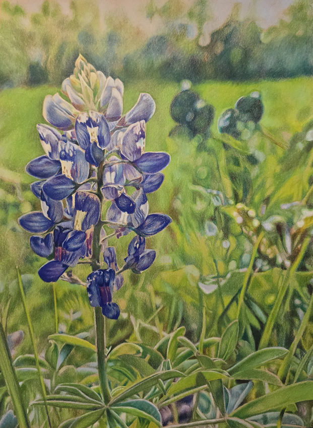 The Lone Star Bonnet