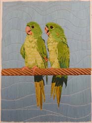 Mexican Green Parakeet