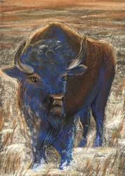 The Blue Buffalo