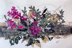 Oxalis and Paper Wings